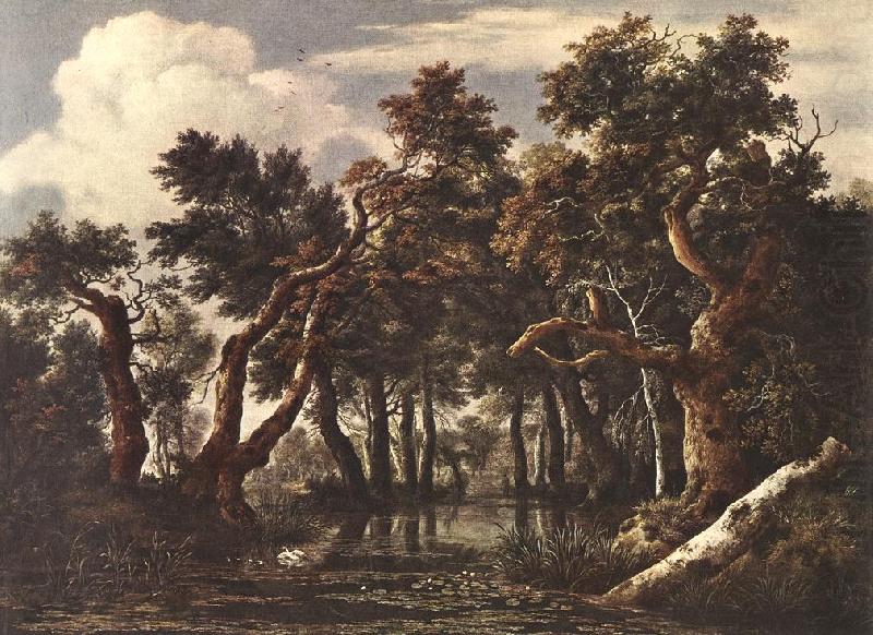 Jacob van Ruisdael The Marsh in a Forest china oil painting image